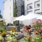 Entreprises 2 image ALTERSHEIM ROTMONTEN Soziale Einrichtungen/Fürsorge dans St. Gallen SG