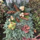 Immagine 6 azienda ALTSTETTER BLUMEN Nahrungs-/Genussmittel in Zürich ZH