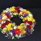 Immagine 1 azienda ALTSTETTER BLUMEN Nahrungs-/Genussmittel in Zürich ZH