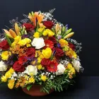 Immagine 2 azienda ALTSTETTER BLUMEN Nahrungs-/Genussmittel in Zürich ZH