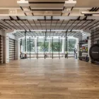 Immagine 2 azienda ANTAGON Ärzte in Zurich ZH