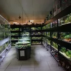 Entreprises 3 image AQUARIUM SEEROSE, ZOOFACHGESCHÄFT S. LEUCH Zoohandlungen dans Zurich ZH