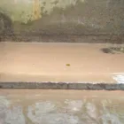 Entreprises 2 image ARCO REINIGUNG AEMISEGGER Teppichreinigung, Polstermöbelreinigung dans St. Gallen SG