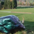 Unternehmen 8 Bild ARMIN HUNZIKER AG Werbewirtschaft/Verkaufsförderung am Zurich ZH