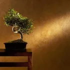 Entreprises 2 image ARNOLD KATJA MALERGESCHÄFT Putzarbeiten, Stuckarbeiten dans Zurich ZH