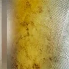 Entreprises 4 image ARNOLD KATJA MALERGESCHÄFT Putzarbeiten, Stuckarbeiten dans Zurich ZH