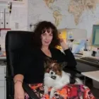 Entreprises 4 image ASS ALTHAUS STELLENVERMITTLUNG Personalvermittlung dans Thun BE