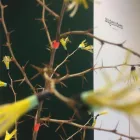 Entreprises 5 image AUGENSTERN BRILLEN UND KONTAKTLINSEN Optiker dans Zurich ZH