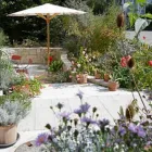 Immagine 1 azienda BERNER F. GARTENBAU AG Land-/Forstwirtschaft/Fischerei in Zürich ZH