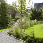 Immagine 3 azienda BERNER F. GARTENBAU AG Land-/Forstwirtschaft/Fischerei in Zürich ZH