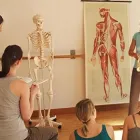 Entreprises 5 image BGB SCHWEIZ (BERUFSVERBAND FÜR GESUNDHEIT UND BEWEGUNG Vereine/Verbände/Organisationen dans Zürich ZH