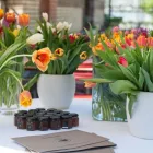 Unternehmen 8 Bild BLAUE ENTE Hotel-/Gastronomiegewerbe am Zurich ZH