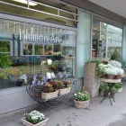 Entreprises 12 image BLUMEN ART Garten/Pflanzen dans Zurich ZH
