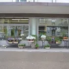 Entreprises 6 image BLUMEN ART Garten/Pflanzen dans Zurich ZH