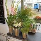 Entreprises 7 image BLUMEN ART Garten/Pflanzen dans Zurich ZH