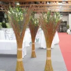 Unternehmen 1 Bild BLUMEN DIENER Garten/Pflanzen am St. Gallen SG