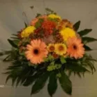 Immagine 8 azienda BLUMEN JAKOB Garten/Pflanzen in Zürich ZH