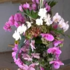 Immagine 4 azienda BLUMEN JAKOB Garten/Pflanzen in Zürich ZH