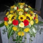 Immagine 5 azienda BLUMEN JAKOB Garten/Pflanzen in Zürich ZH