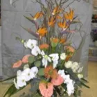 Immagine 7 azienda BLUMEN JAKOB Garten/Pflanzen in Zürich ZH