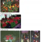 Unternehmen 5 Bild BLUMEN PFISTER Gartengeräte, Landgeräte Einzelhandel am St. Gallen SG