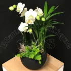 Immagine 4 azienda BLUMENBOUTIQUE GOOS Nahrungs-/Genussmittel in Zürich ZH