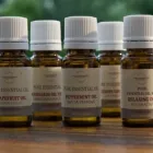 Unternehmen 1 Bild BOTANICUS SCHAFFHAUSEN AG Produktion und Vertrieb von Kosmetik, Körperpflegeartikel am Schaffhausen SH