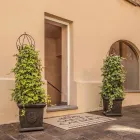 Unternehmen 13 Bild CENTRO ESTETICO SANTA CATERINA Ärzte am Lugano TI