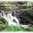 Entreprises 5 image DANIEL LOCHBRUNNER BESTATTUNGEN & THANATOLOGIE Umzugsunternehmen dans Thun BE