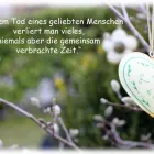 Entreprises 2 image DANIEL LOCHBRUNNER BESTATTUNGEN & THANATOLOGIE Umzugsunternehmen dans Thun BE