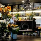 Immagine 4 azienda DICKICHT BLUMEN + ACCESSOIRES GABY DICK Raumausstatter, Innenausstatter in Zürich ZH