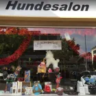 Entreprises 1 image DOG & MORE Tiersalons dans Zurich ZH