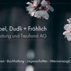 Immagine 1 azienda DR. STREBEL, DUDLI + FRÖHLICH STEUERBERATUNG UND TREUHAND AG Treuhänder, Treuhandgesellschaften in Zürich ZH