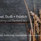 Immagine 4 azienda DR. STREBEL, DUDLI + FRÖHLICH STEUERBERATUNG UND TREUHAND AG Treuhänder, Treuhandgesellschaften in Zürich ZH