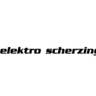 Entreprises 2 image ELEKTRO SCHERZINGER AG Telekommunikation dans Zürich ZH