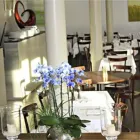 Immagine 1 azienda EMILIA TRATTORIA PIZZERIA Pizzerien in Zürich ZH