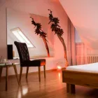 Immagine 4 azienda EROTIKSTUDIO A24 Unterhaltung in Zürich ZH