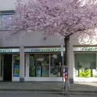 Entreprises 6 image FARMACIA CASSARATE Ärzte dans Lugano TI