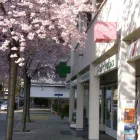 Entreprises 7 image FARMACIA CASSARATE Ärzte dans Lugano TI