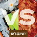 Unternehmen 3 Bild FASIVERY Pizzerien am Lugano TI