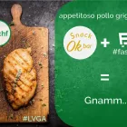 Unternehmen 14 Bild FASIVERY Pizzerien am Lugano TI