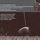 Entreprises 1 image FINARDI & PARTNERS Versicherungswesen dans Lugano TI