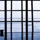 Unternehmen 1 Bild IMPRESA DI PULIZIE LEONE Teppichreinigung, Polstermöbelreinigung am Lugano TI