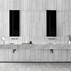 Entreprises 1 image LEOSKA SALLES DE BAINS ET REVÊTEMENT GENÈVE Schwimmbadbauunternehmen dans Carouge GE