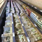 Immagine 13 azienda LIDL SCHWEIZ Textil/Bekleidung in Zurich ZH