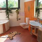 Entreprises 3 image LIPS ERNST AG Zimmerarbeiten, Holzbauarbeiten dans Zurich ZH