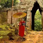 Entreprises 2 image LOTUS REISEN AG Transport/Verkehr/Tourismus dans Zürich ZH