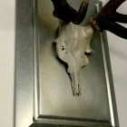 Immagine 3 azienda MÖRGELI BILDERRAHMEN Schmuck/Uhren/Edelmetallwaren in Zurich ZH