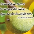 Entreprises 5 image NOTARIAT NUSSBAUM Rechtsanwälte dans Thun BE