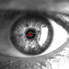 Entreprises 4 image OWS SECURITY GMBH Sicherheitsfirmen dans Thun BE